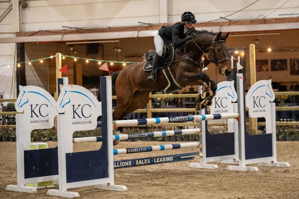 Ruiter/groom gezocht