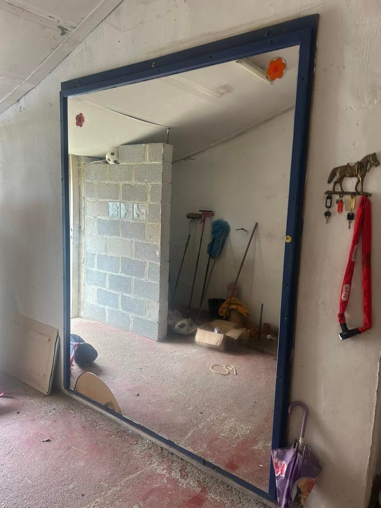 Grote spiegel te koop, Huis en Inrichting, Woonaccessoires | Spiegels, Ophalen, Zo goed als nieuw, 125 cm of meer, 200 cm of meer