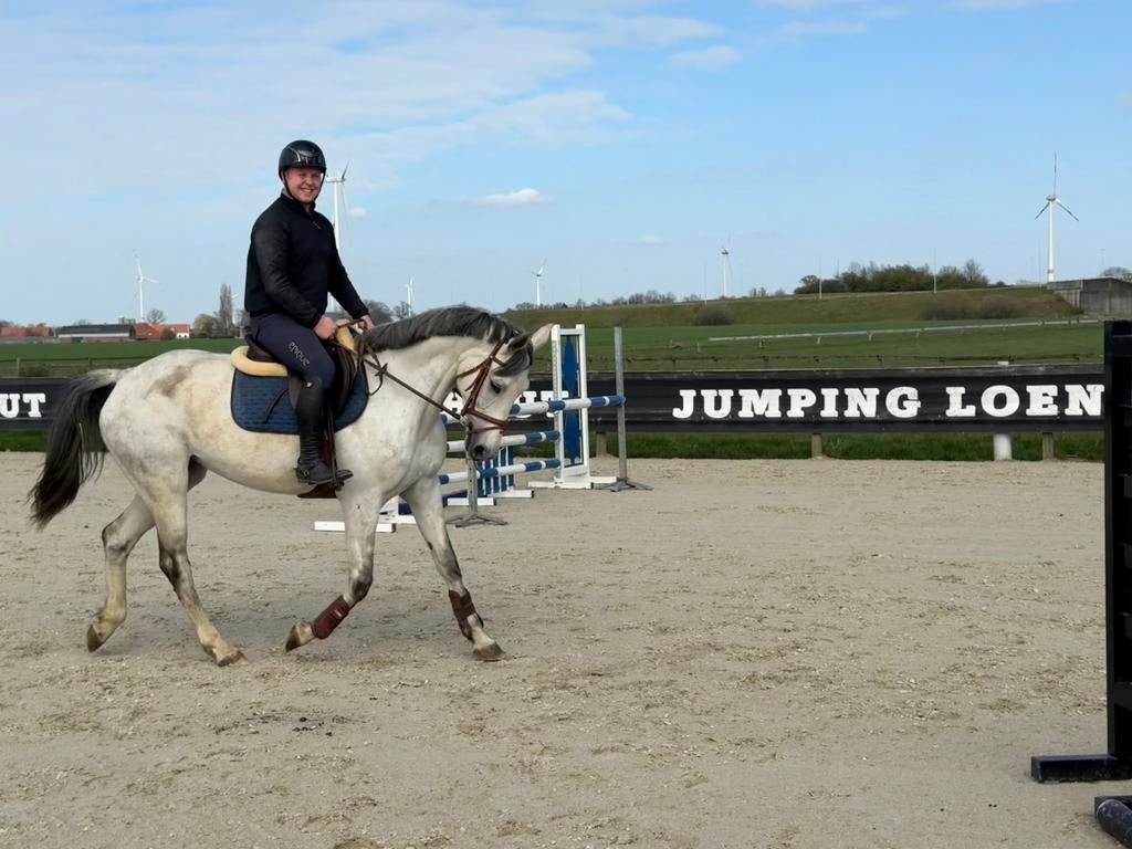 Leuke 8-jarige allroundmerrie, schofhoogte 1.63, Dieren en Toebehoren, Paarden, Merrie
