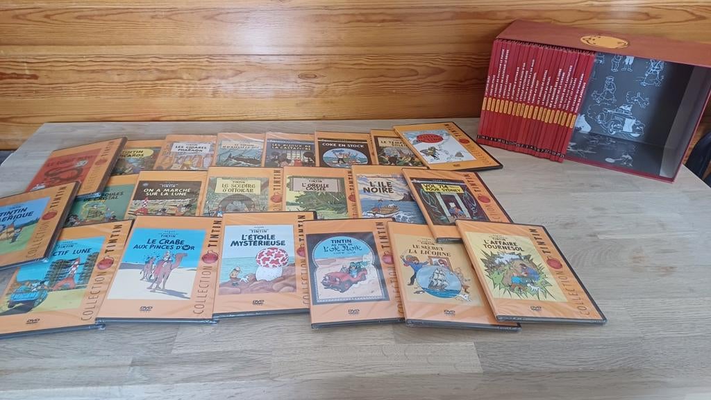 DVD et livret Tintin, Enlèvement