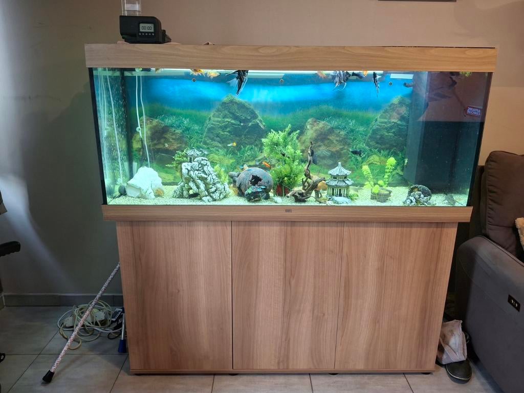 Aquarium juwel 400L complet avec poissons et décorations., Enlèvement