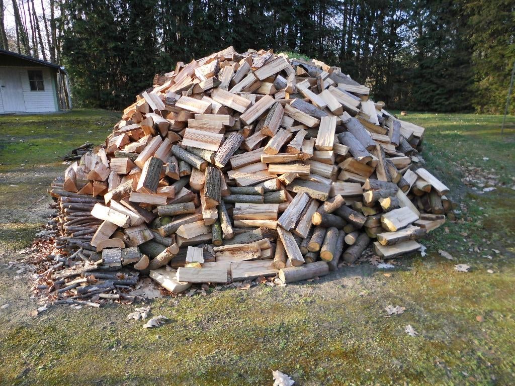 Brandhout van Conifeerbomen, Tuin en Terras, Ophalen