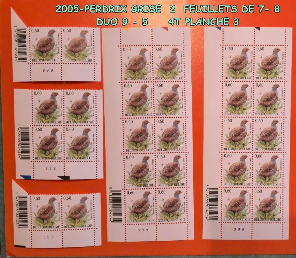 2005- 28 TIM * GRIJZE PATRIJS 2 VELLEN VAN 7- 8, Verzenden