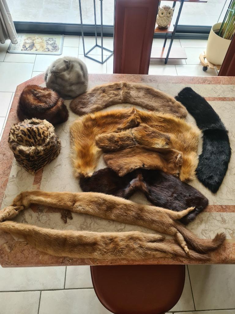 Lot de fourrures : renard, ocelot, visons..., Enlèvement ou Envoi, Comme neuf, Écharpe