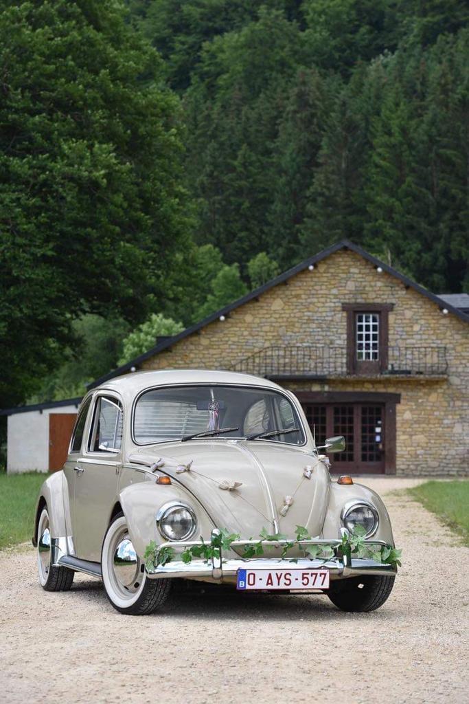 Cox de 1968, Autos, Achat, 2 portes, 44 kW, Cuir synthéthique