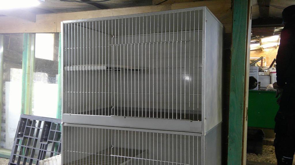 cages complète pour petits animaux avec les caillebotis en b, Ophalen, Gebruikt, Kooi