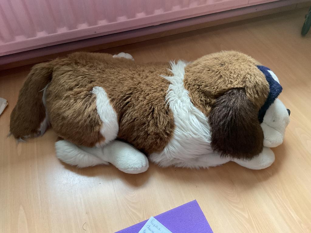 Grande peluche Beethoven, Enlèvement, Comme neuf