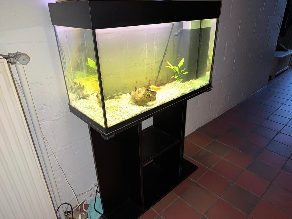 Juwel Aquarium, Dieren en Toebehoren, Ophalen, Gebruikt