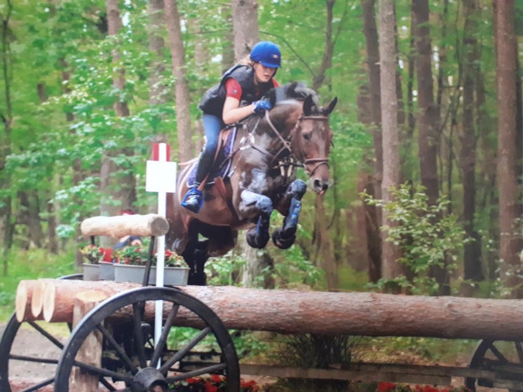 Mooie fokmerrie, Ophalen