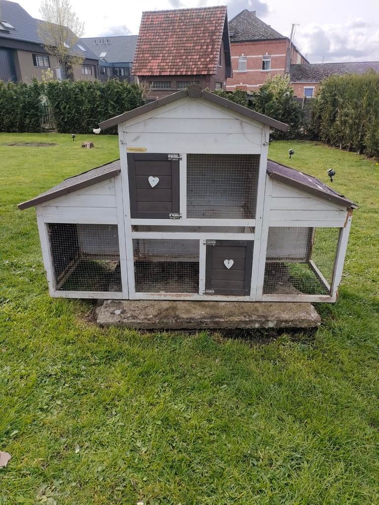 Konijnenhok, Dieren en Toebehoren, Ophalen