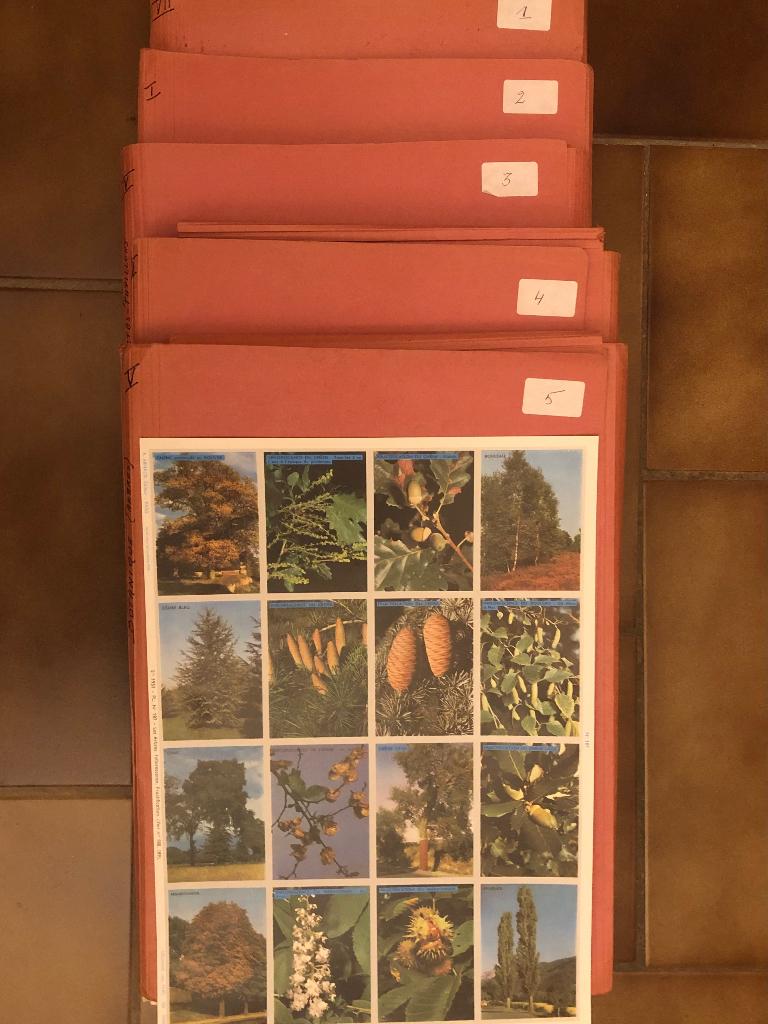 Planches de documentation ARNAUD, Comme neuf, Enlèvement, Autre, Sciences naturelles