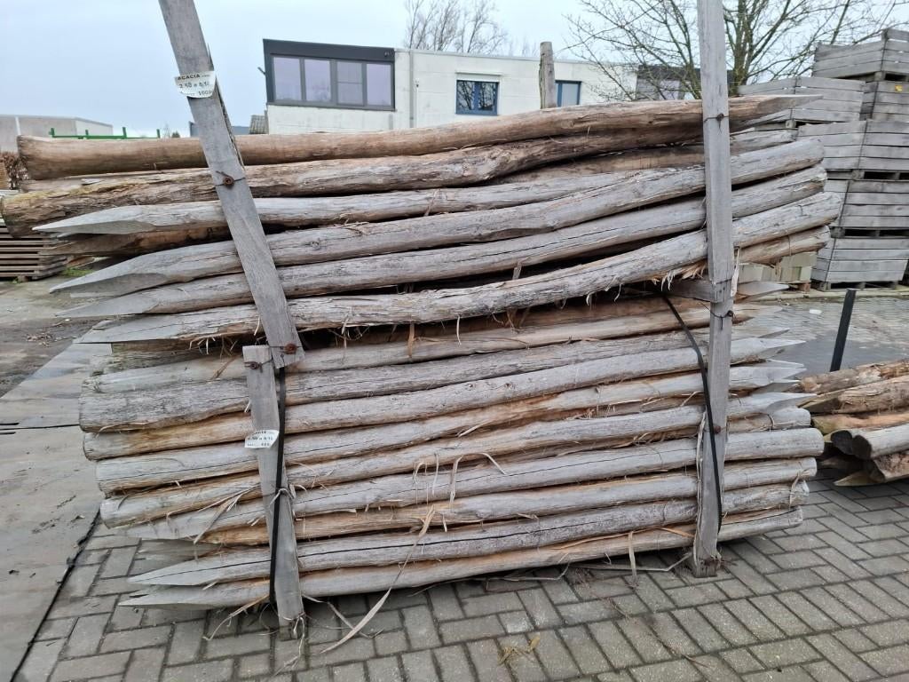 Acacia / kastanje  gepunte palen, Ophalen, Palen, Zo goed als nieuw, Hardhout