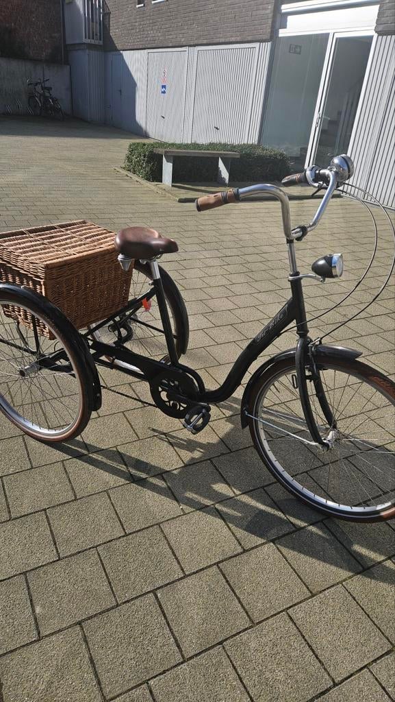 Tri bike. Volwassenen. Retro 3 wielfiets, Fietsen en Brommers, Fietsen | Driewielfietsen, Ophalen