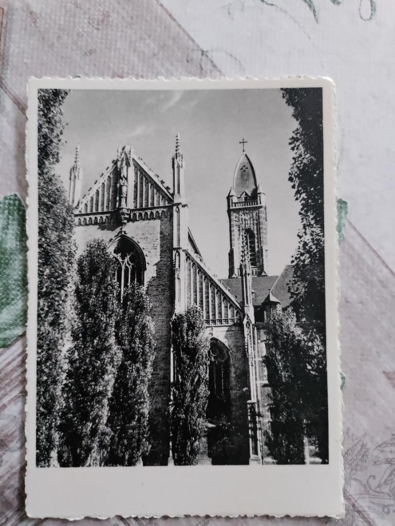 Ansichtkaart Tongerloo, Ophalen of Verzenden, Ongelopen, Limburg