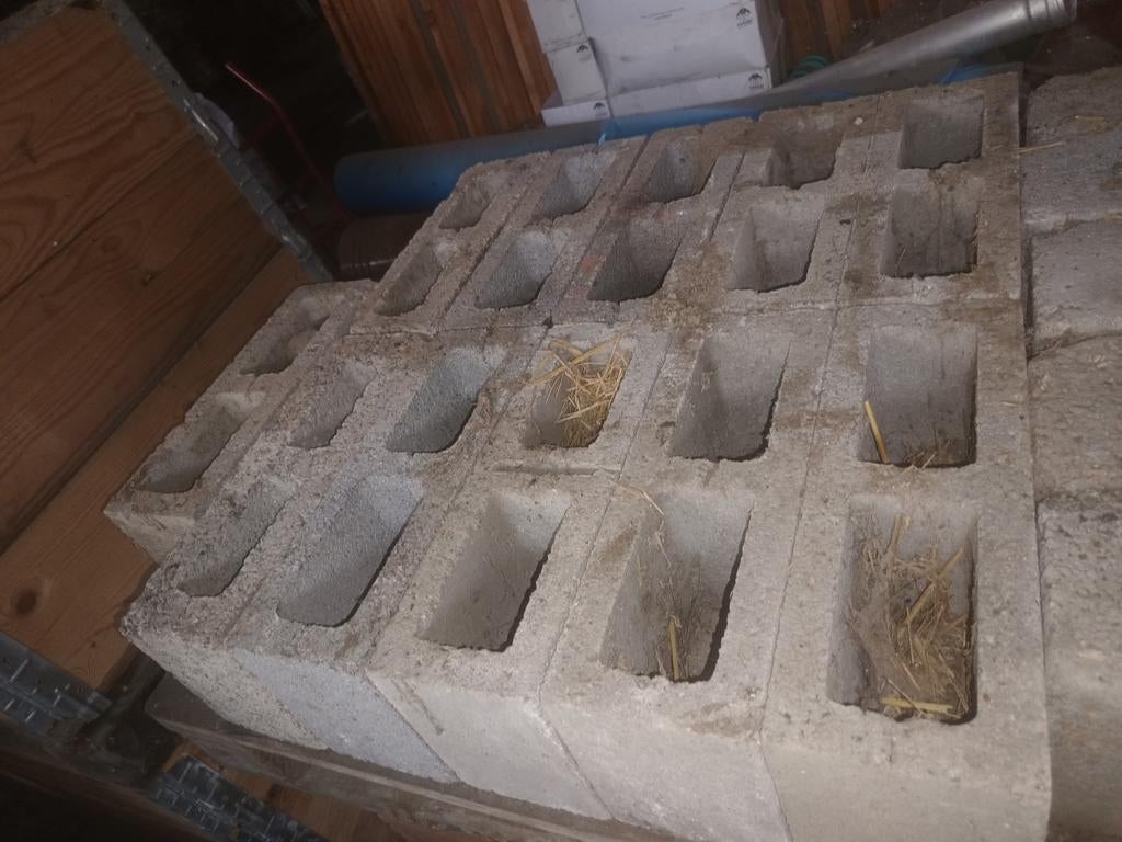 11 grands blocs de béton, Bricolage & Construction, Enlèvement