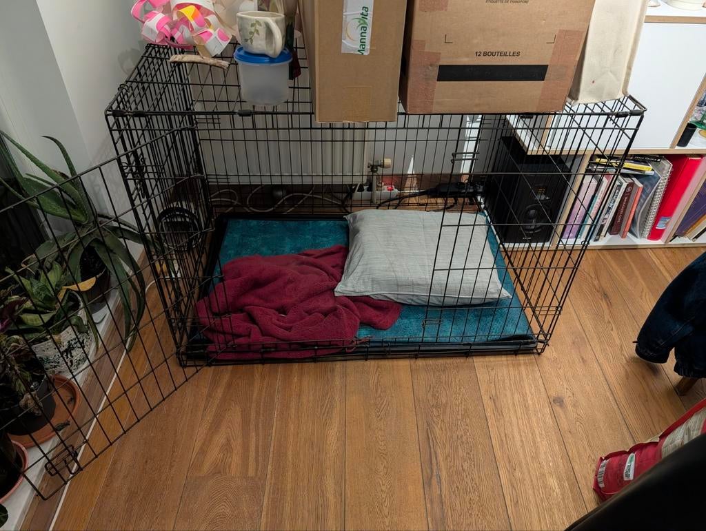 Honden bench middelgrote hond, Enlèvement