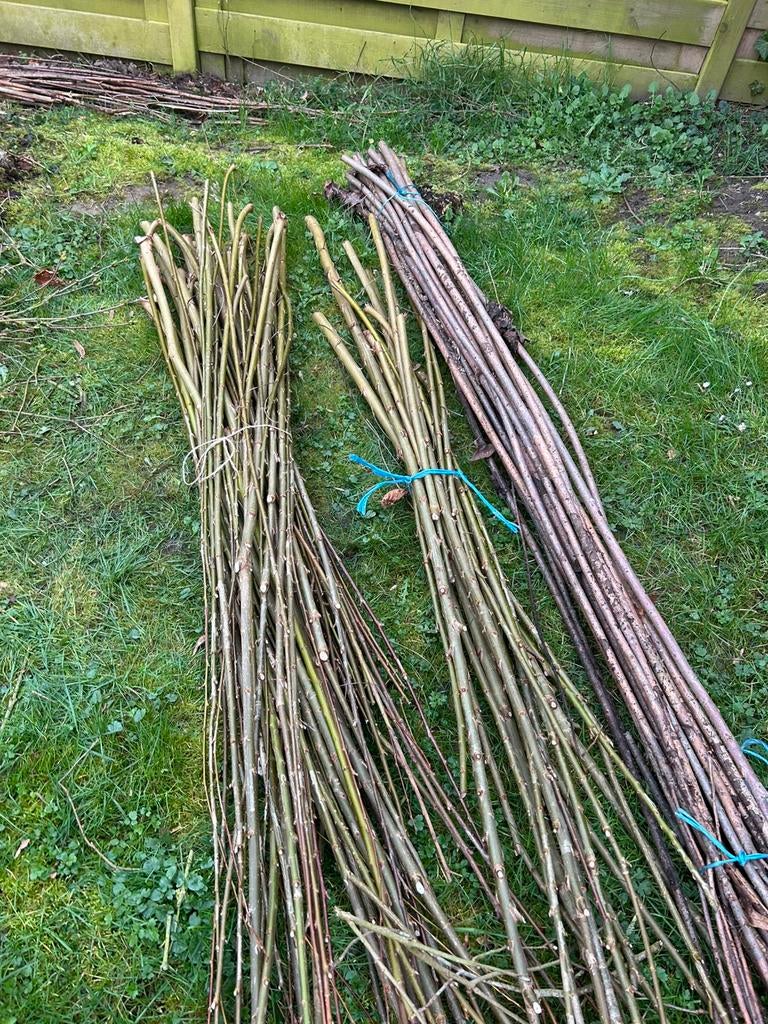 Wilgetenen afhalen in Sint Agatha Rode(Gratis), Tuin en Terras, Ophalen, Zo goed als nieuw