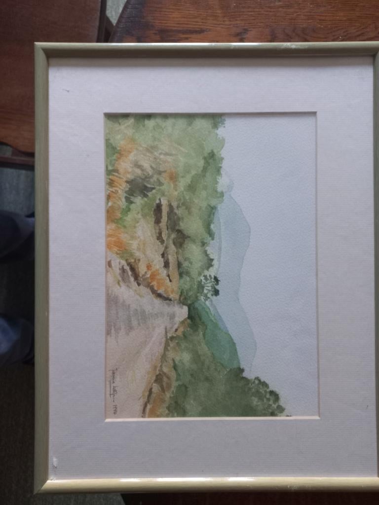 Gesigneerde en ingelijste schilderijen, Antiek en Kunst, Kunst | Litho's en Zeefdrukken, Ophalen of Verzenden