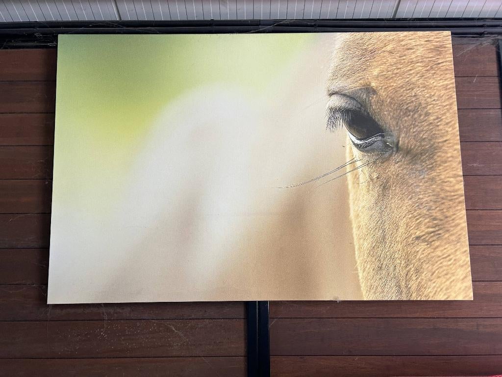 kader paardenoog, Ophalen, Zo goed als nieuw