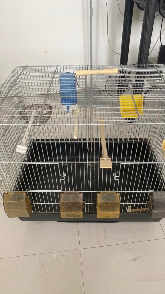 Accessoires pour canaris 60€, Animaux & Accessoires