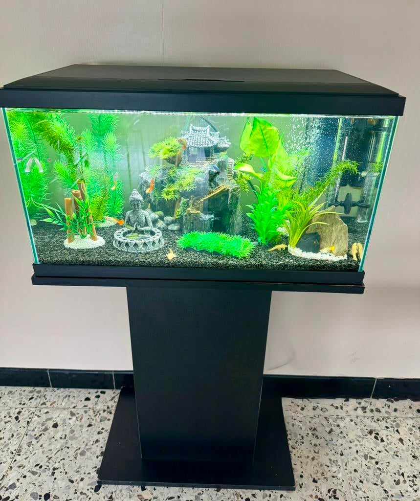 Aquarium nieuw met kasticket, Dieren en Toebehoren, Vissen | Aquaria en Toebehoren, Ophalen, Zo goed als nieuw