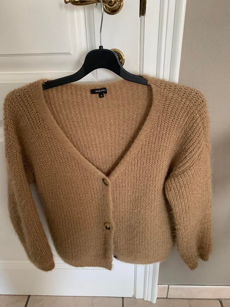 Nieuw vestje Cardigan Claudia Strater 38 beige, Vêtements | Femmes, Enlèvement ou Envoi