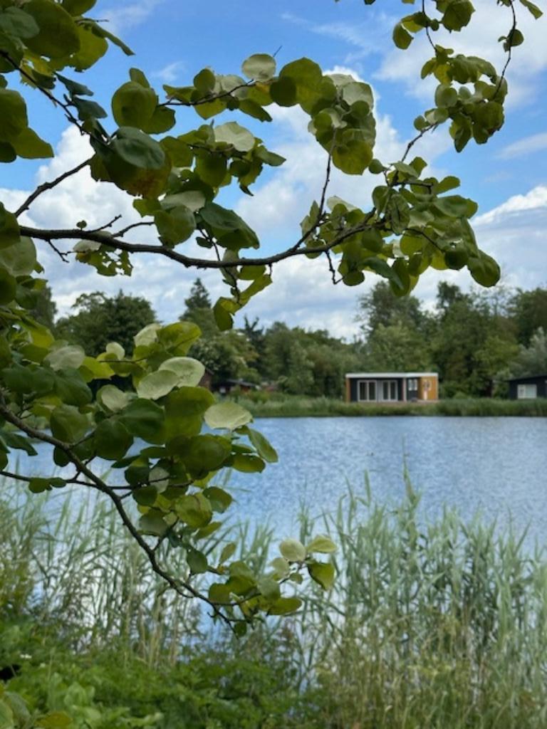 Chalet kopen met plaats voor het hele jaar gebruik