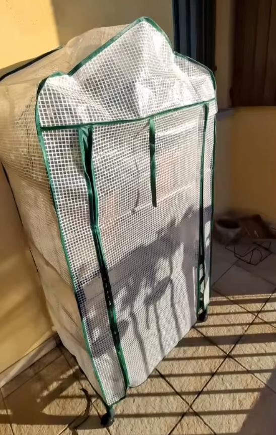 Serre de jardin avec roulettes et 3 étagères, Tuin en Terras, Kassen, Nieuw, Kweekkas, Staal, Folie, Verzenden