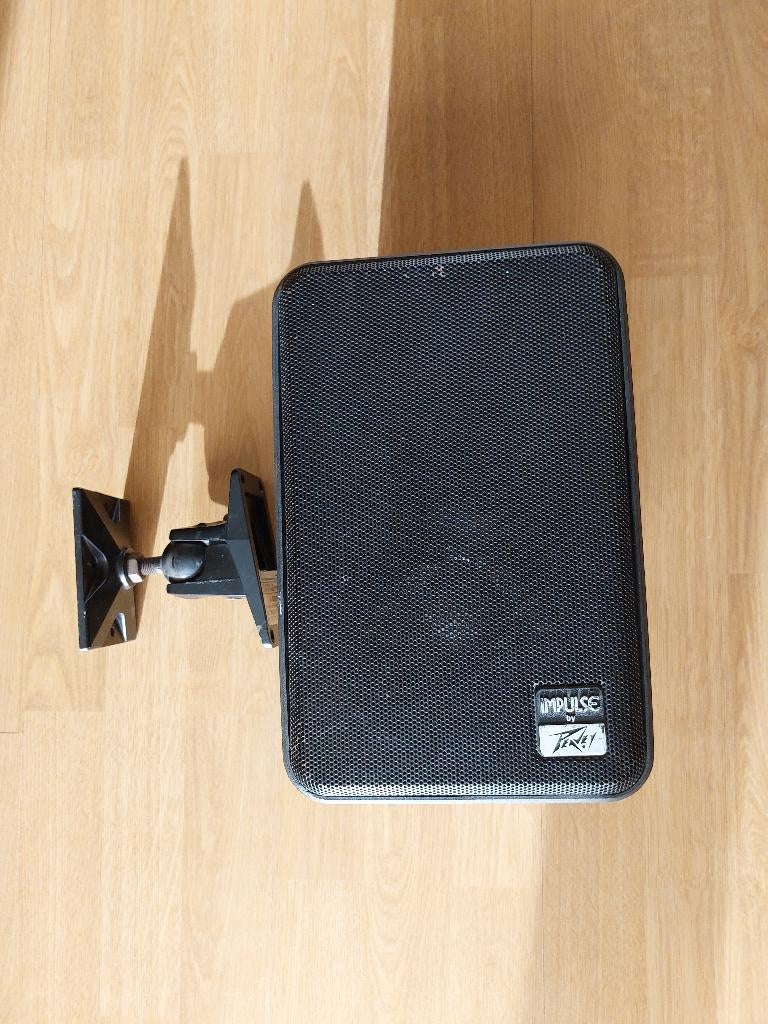 Peavey Impulse Two-Way Passive PA speaker, Enlèvement, Utilisé, Moins de 60 watts, Haut-parleurs Frontaux, Arrière ou Stéréo