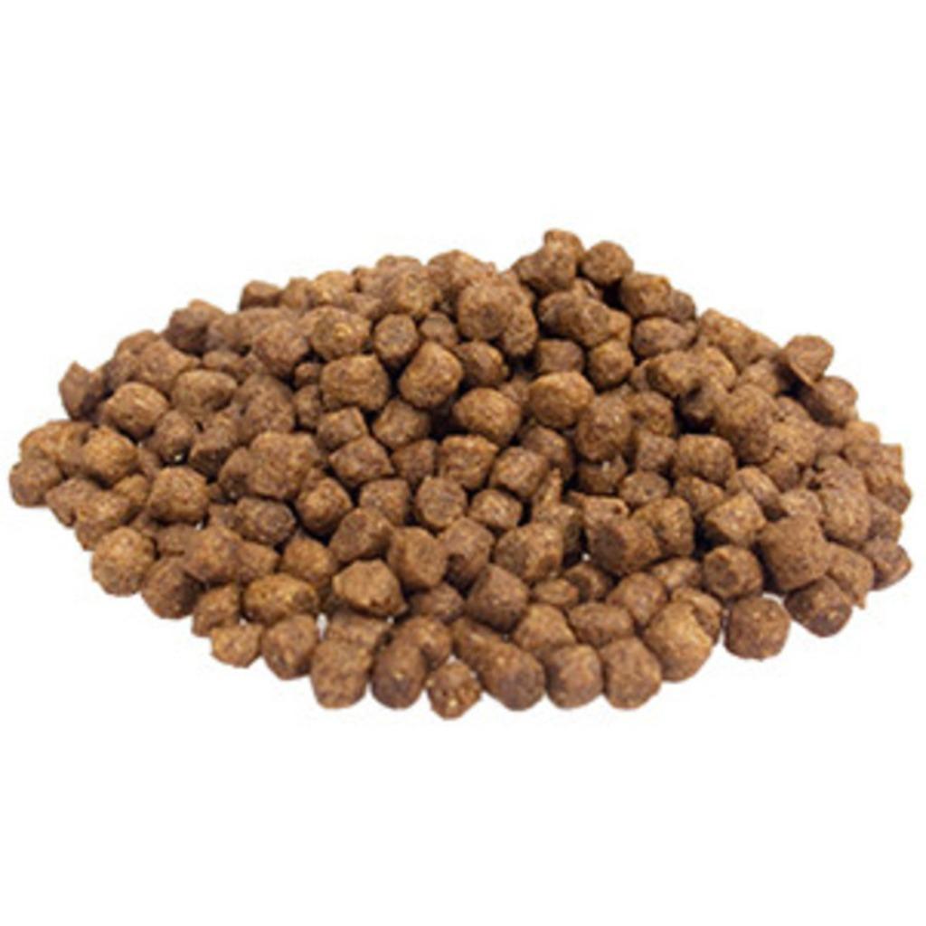 hondenbrokken essential croc 15kg topvoer, Envoi, Chien