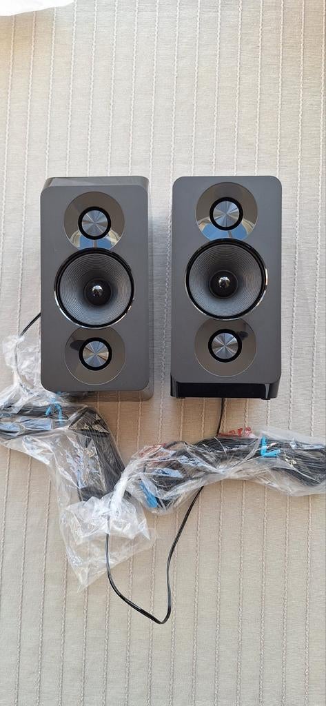 2 haut-parleurs Philips, TV, Hi-fi & Vidéo, Enceintes, Enlèvement ou Envoi, Neuf, Philips