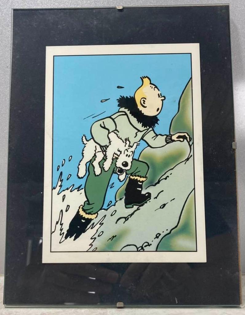 5 kaders van Kuifje om te hangen, Enlèvement, Tintin, Utilisé, Autres types