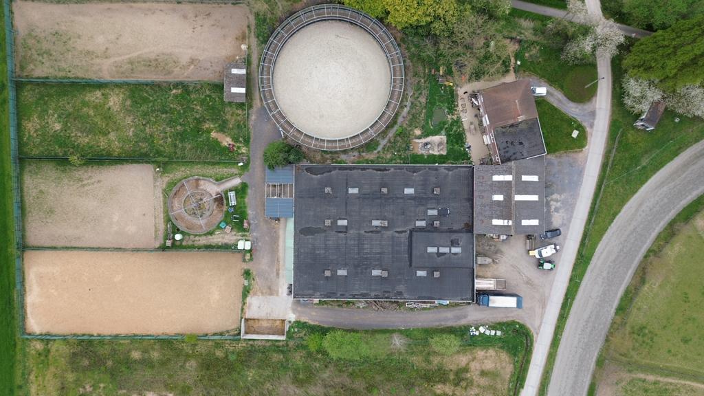 Stallen te huur te Brakel, Dieren en Toebehoren, Stalling en Weidegang, Opfok, Stalling, Weidegang, 4 paarden of pony's of meer