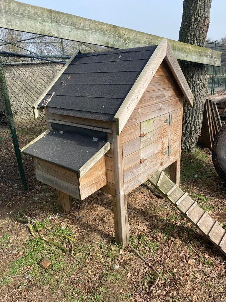 Kippen hok voor 8 kippen, Dieren en Toebehoren, Pluimvee, Overige soorten