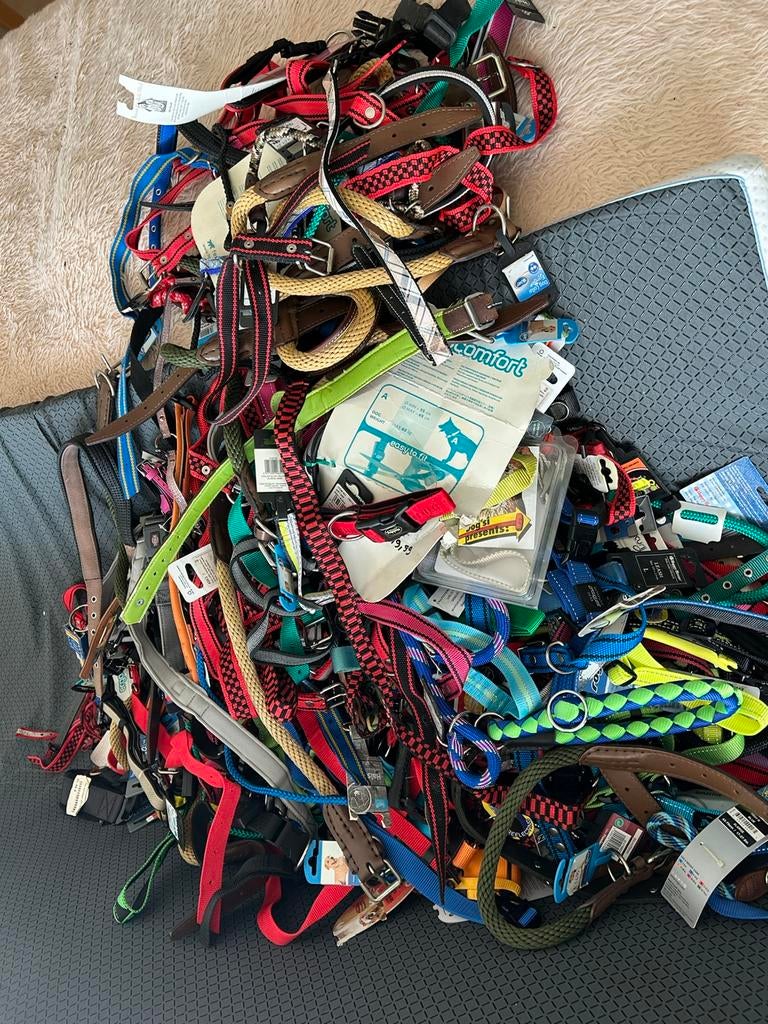 Groot lot honden leibanden en halsbanden, Dieren en Toebehoren, Hondenriemen, Ophalen, Zo goed als nieuw