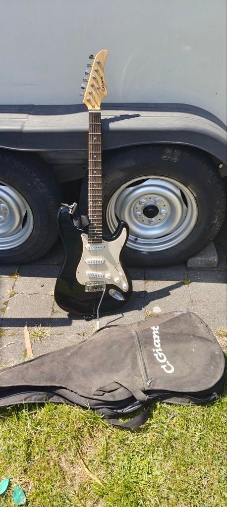 Electrische gitaar, Ophalen