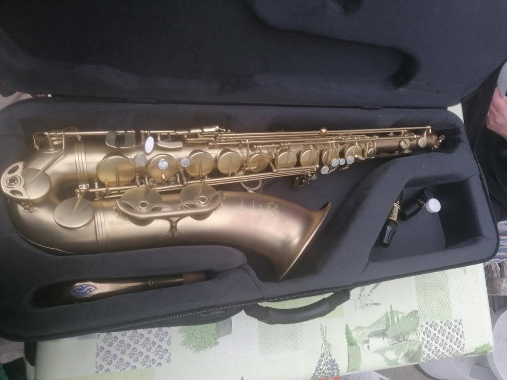 Selmer Tenor Sax Serie III, Musique & Instruments, Instruments à vent | Saxophones, Utilisé, Ténor, Avec valise, Enlèvement
