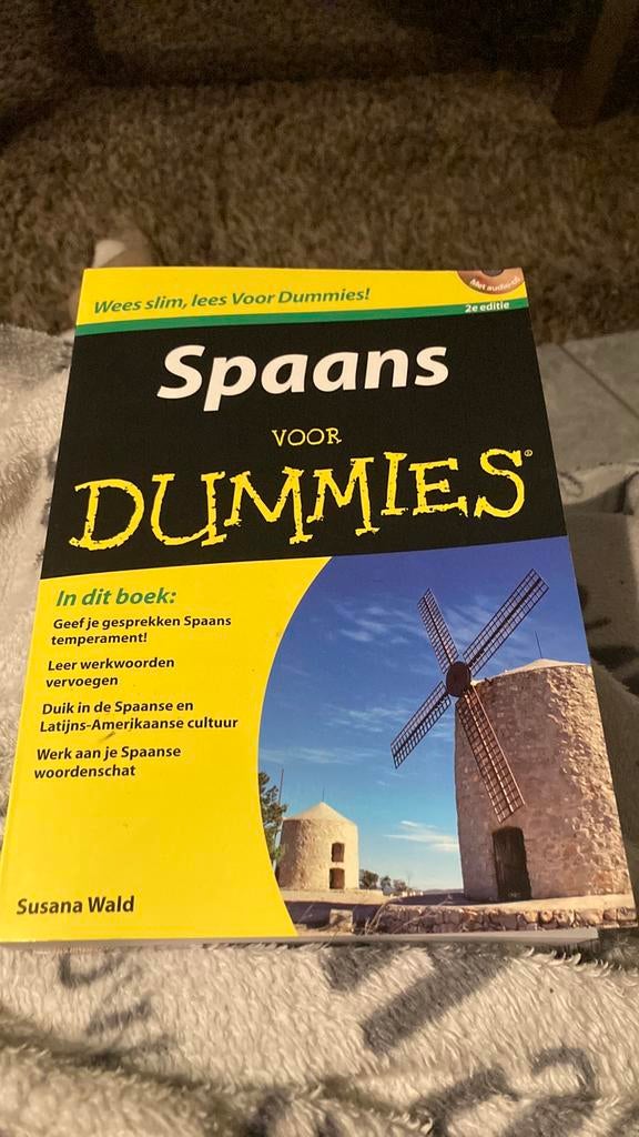 Susane Wald Spaans voor Dummies, Livres, Langue | Espagnol, Enlèvement ou Envoi, Comme neuf