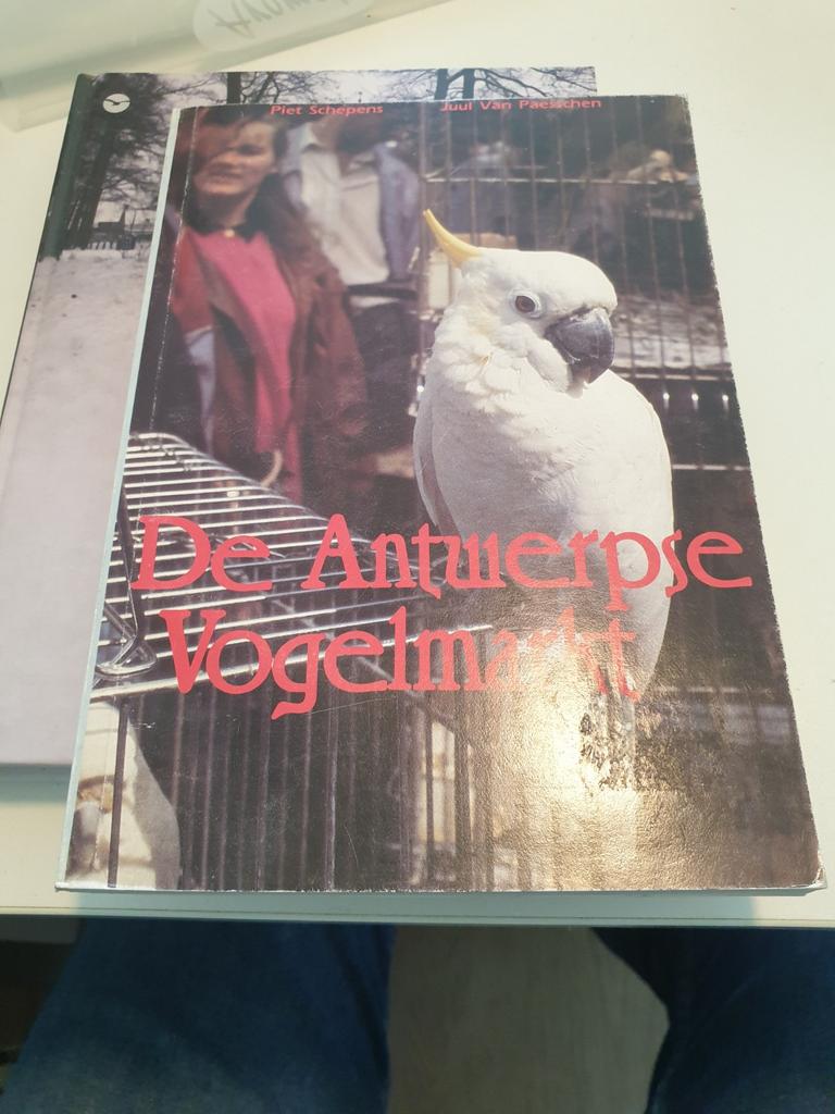 De Antwerpse Vogelmarkt, Boeken, Geschiedenis | Stad en Regio, Zo goed als nieuw, 20e eeuw of later, Ophalen of Verzenden
