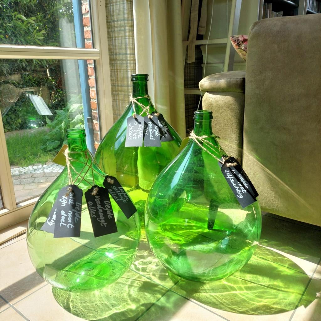 Dame Jeanne verte, Enlèvement