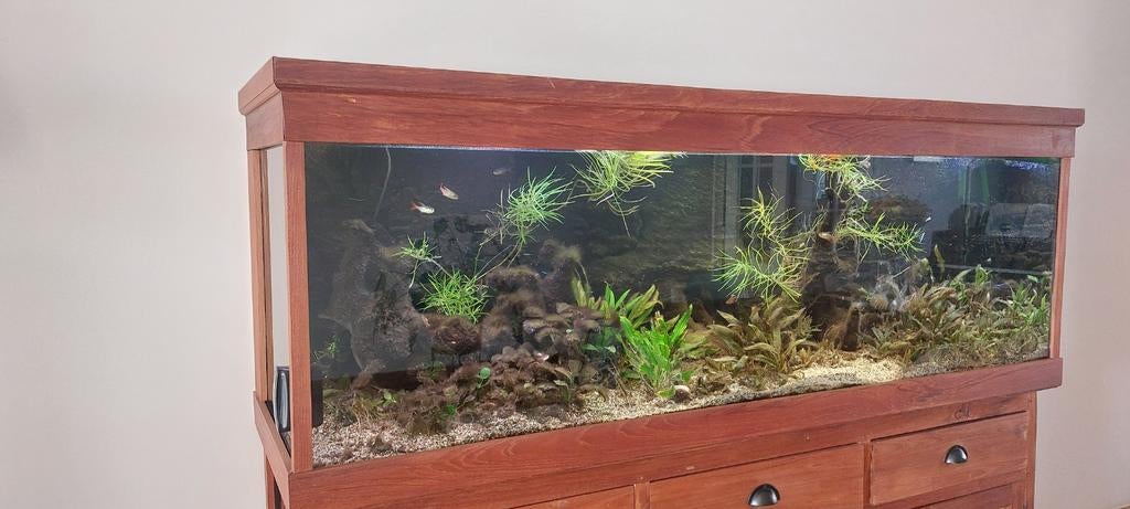 Mooie aquarium te koop in de afmetingen 18060x50 cm, Dieren en Toebehoren, Ophalen, Eheim