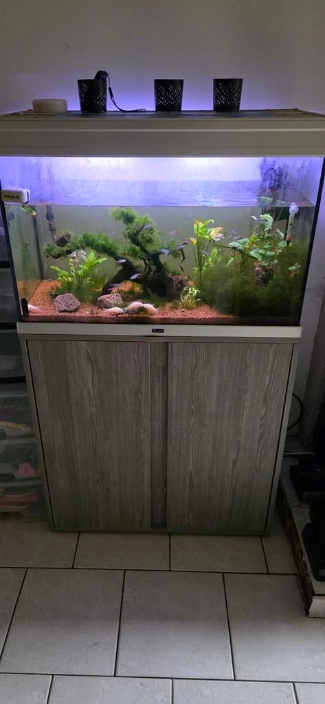 Aquarium atlantics, Animaux & Accessoires, Enlèvement, Utilisé, Aquarium d'eau douce rempli