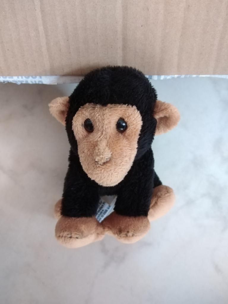 knuffel zoo planckendael aapje(doos november 2025), Ophalen of Verzenden, Nieuw