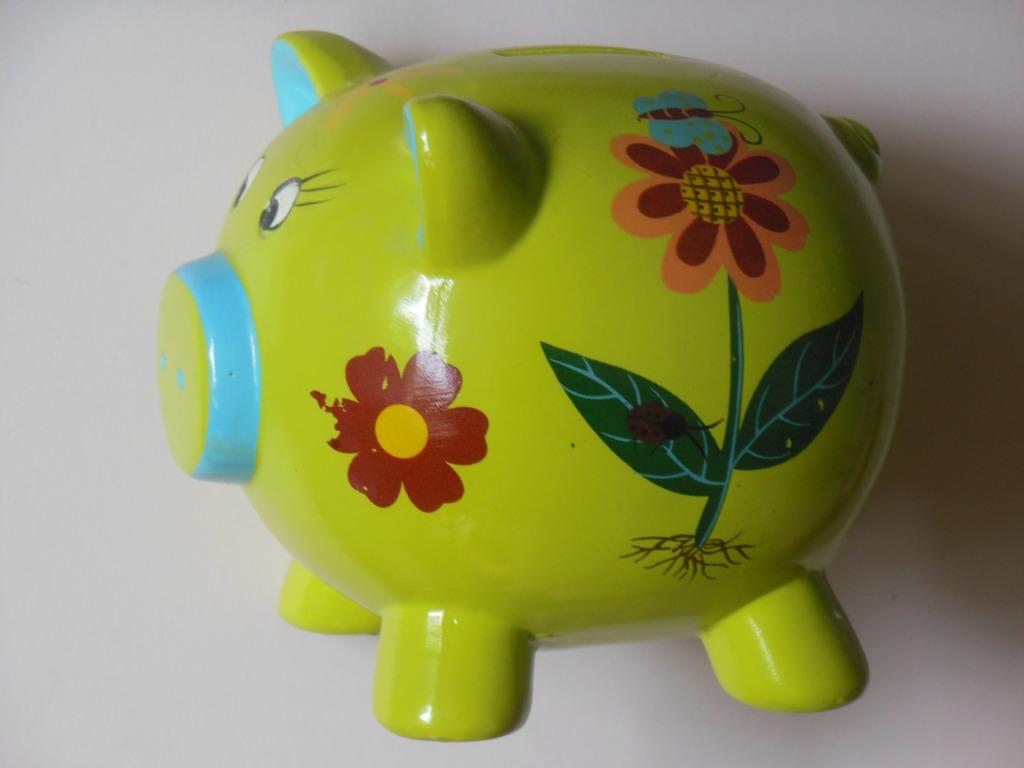 Spaarpot / Spaarvarken - Groen varken met bloemen, Verzamelen, Ophalen of Verzenden, Gebruikt, Steen, Aardewerk of Keramiek, Dier