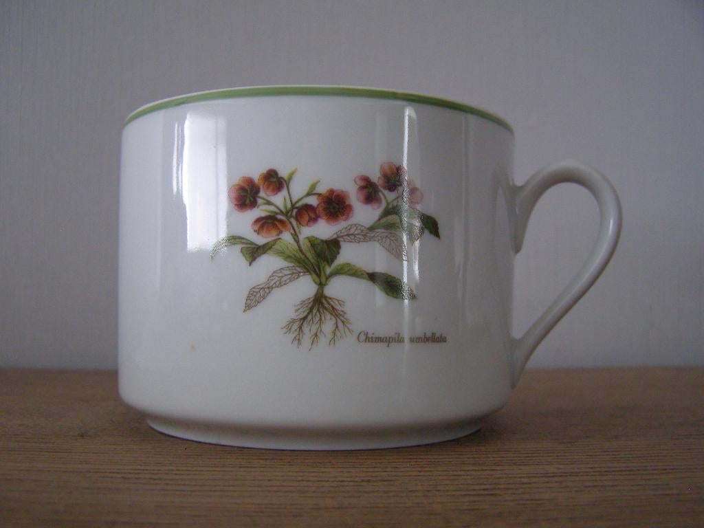 Bol en porcelaine Chimapila Umbellata/Alchemilla Vulgaris, Enlèvement ou Envoi, Utilisé, Autres styles, Récipient(s)