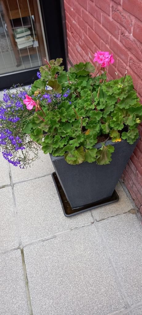 Hoge bloembakken met onderschaal, Ophalen