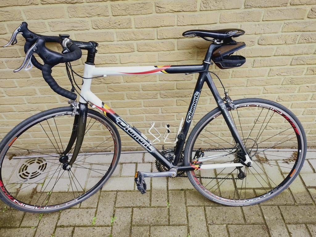 Diamant Albon/Campagnolo/ Kadermaat 61cm, Enlèvement