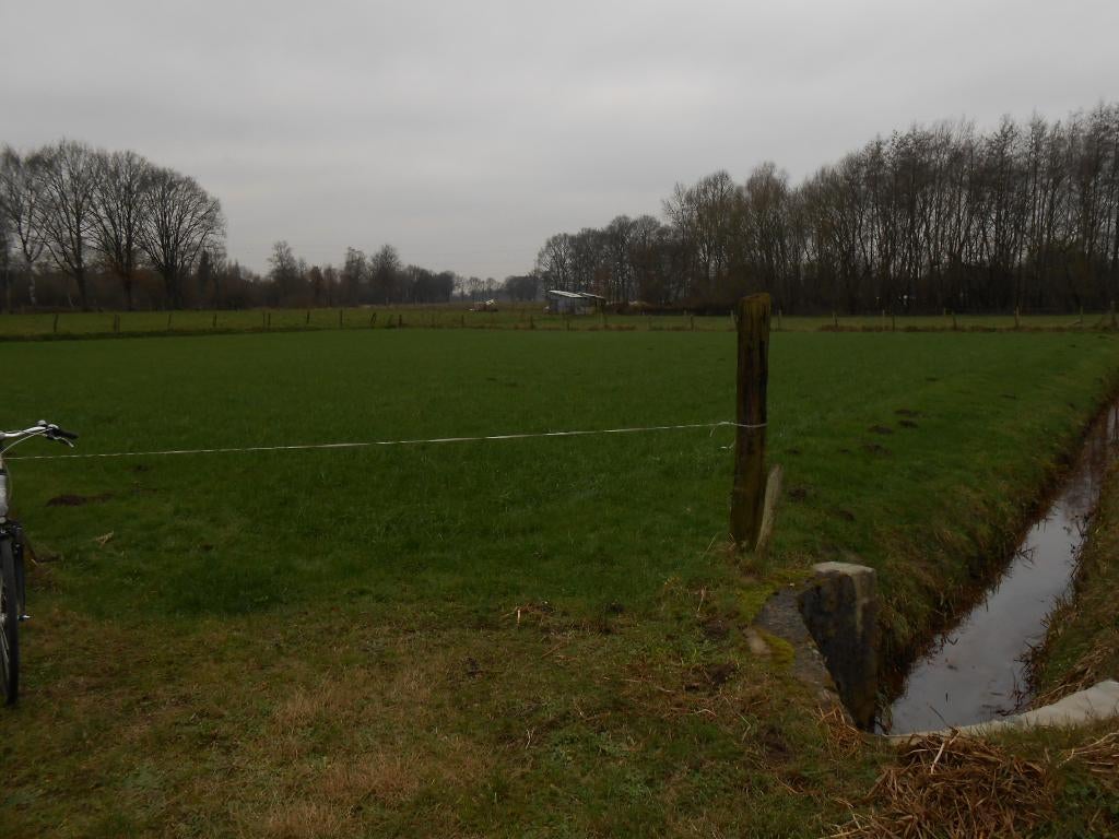 Mooi, rustig en gunstig gelegen weide/landbouwgrond in Geel, Immo, 2440 geel, Verkoop zonder makelaar, 1500 m² of meer