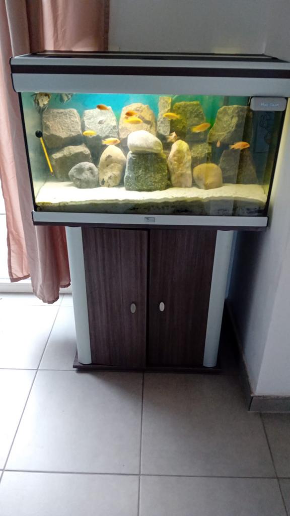 Te Koop: Aquaruim Met Meubel, Enlèvement, Comme neuf