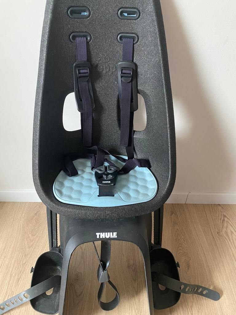 Thule fietsstoel tot 25kg, Fietsen en Brommers, Fietsaccessoires | Fietsstoeltjes, Ophalen, Achterzitje